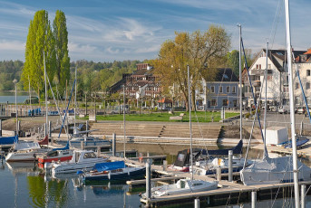 Konstanz 2193-2024, Ufer in Staad im Morgenlicht