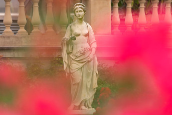 Mainau 2403-2024, Mamorstatue im Italienischen Rosengarten
