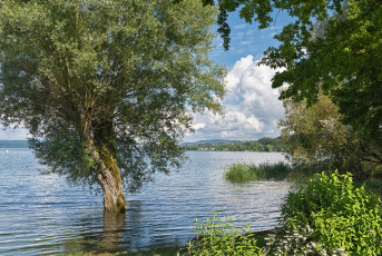Seefelden 0157-2024, Hochwasser am Seeufer