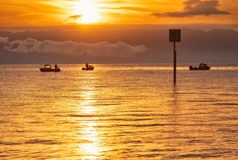 Arbon 0137-2024, Seezeichen und Fischer im Sonnenaufgang