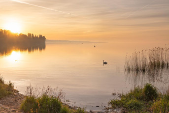 Mainau 2326-2024, Morgenstimmung an der Mainaubrücke