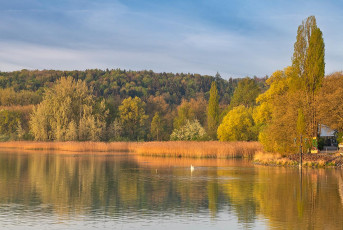 Mainau 2343-2024, Mainaubucht in der Morgensonne