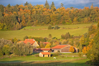 Sipplingen 1312-2024, Herbststimmung am Buohof