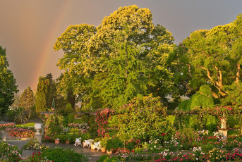 Mainau 2399-2024, Italienischer Rosengarten mit Regenbogen