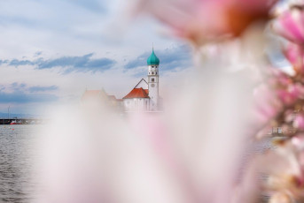 Wasserburg 0700-2024, Magnolienblüte vor Kirche St. Georg