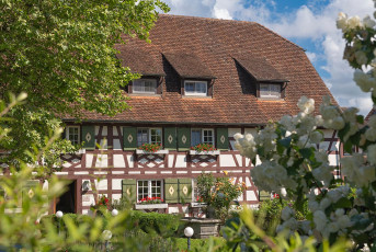 Seefelden 0163-2024, Landhotel Fischerhaus