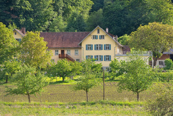Überlingen 4956-2024, Unterfrickhof Billafingen
