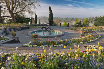 Mainau 2363-2024, Frühlingsblüte an der Mediterranterrasse
