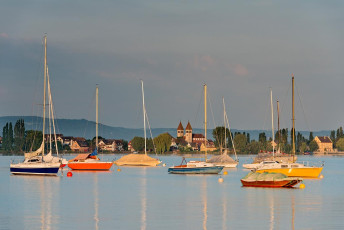 Allensbach 0284-2013, Ankerne Boote und Reichenau in der Morgens