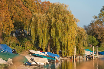 Allensbach 0353-2014, Boote und herbstliches Ufer beim Seegarten