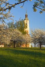 Birnau 021-2007, Frühlingsblüte an der Kirche