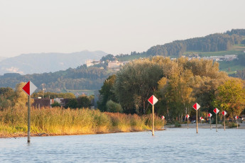 Altenrhein 024-2009, Blick in die Altrheinmündung