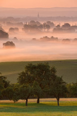 Bohlingen 0033-2012, Morgennebel über dem Radolfzeller Aachried
