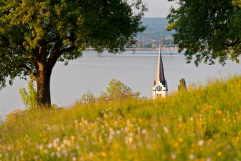 Berlingen 0063-2011, Blick über Frühlingswiese zur Kirche