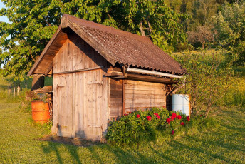 Berlingen 0079-2011, Alter Schuppen am Ortsrand