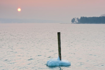 Dingelsdorf 0054-2012, Dalbe mit Eiskragen im Wintersonnenaufgan