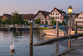 Ermatingen 0121-2012, Fachwerkkulisse am Hafen und Schwan