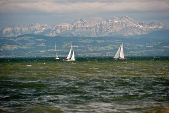 Friedrichshafen 575-2010, Segelboote vor der Säntiskulisse