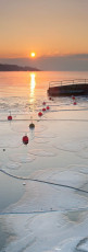 Hagnau 0752-2012 PANO, Vereister Westhafen im Sonnenaufgang