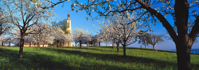 Birnau, Barockkirche im Frühling