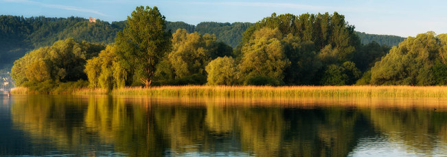 Ludwigshafen 0182-2012 PANO, Schilfgebiet vor dem Bodanrück im