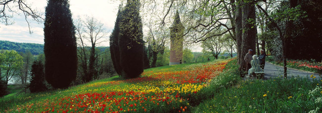Mainau, Rast am Tulpenhang