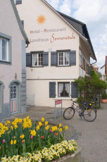 Hagnau 213-2008, Hotel Sonnenstube