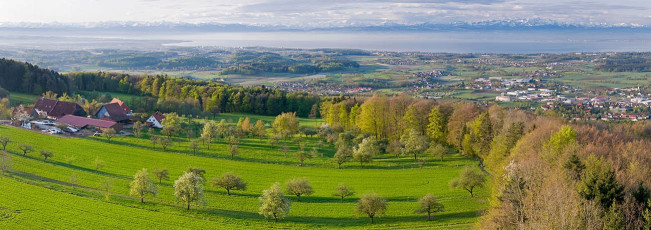 Markdorf 0299-2008 PANO, Frühlingspanorama vom Gehrenberg