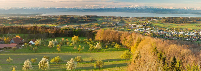 Markdorf 0720-2012 PANO, Alpenkulisse und Frühlingsblüte vom G