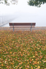 Hagnau 524-2008, Herbst vor der Schiffslände
