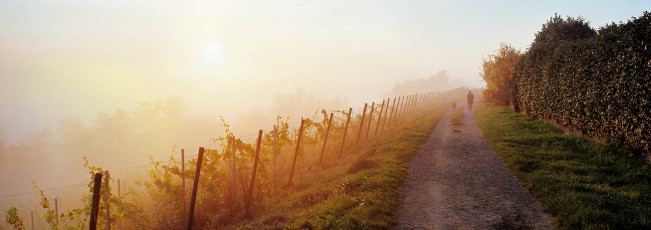 Meersburg, Spaziergänger im Herbst