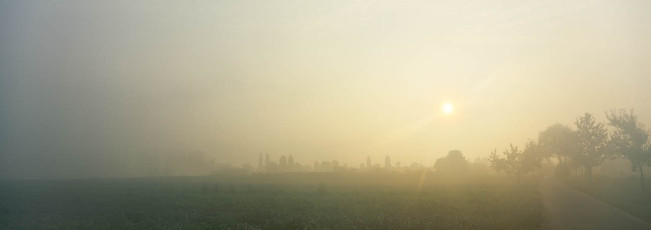 Moos, Landschaft im Morgennebel B