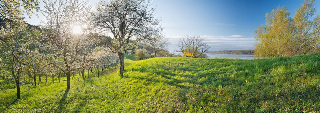 Sipplingen 0687-2014 PANO, Obstblüte und Bank am Sipplinger Ber