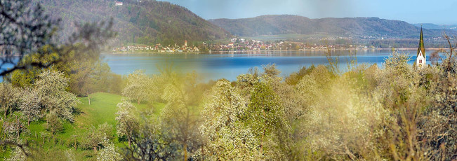 Sipplingen 0689-2014 PANO, Blühende Obstbäume und Kirchturm