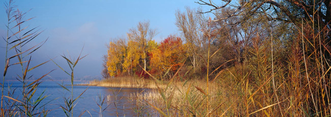 Sipplingen, Buntes Seeufer im Herbst