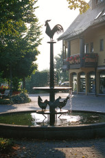 Immenstaad, Hennenbrunnen Totale