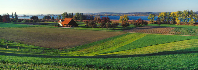 Triboltingen, Gehöft in der Landschaft B