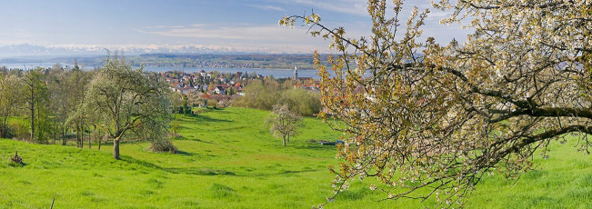 Überlingen 0349-2008, Frühlingspanorama