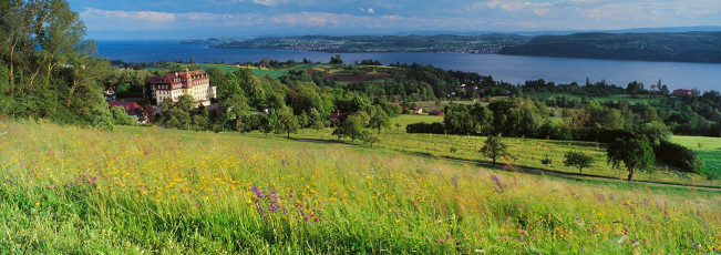 Überlingen, Wiesenblüte und Schloss Spetzgart