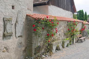 Hagnau 227-2008 B, Kirchmauer mit Grabplatten