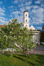 Langenargen 0271-2012, Pfarrkirche St Martin