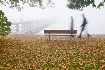 Hagnau 530-2008, Herbst vor der Schiffslände