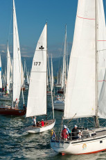 Lindau 402-2010, Rund-Um-Regatta