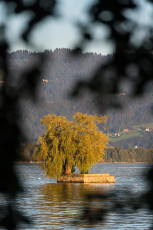 Lindau 0980-2012, Insel Hoy