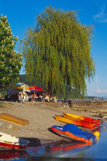 Ludwigshafen, Kiosk und Bootsverleih am Hafen HOCH