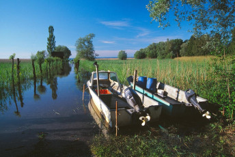 Höchst, Rheindelta