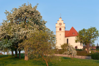 Horn 0020-2011, Obstblüte vor der Dorfkirche