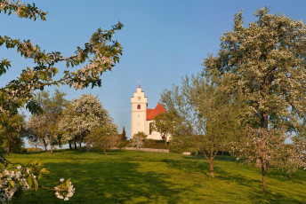Horn 0024-2011, Obstblüte vor der Dorfkirche