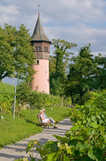Mainau 187-2008 A, Weinlehrpfad am Schwedenturm