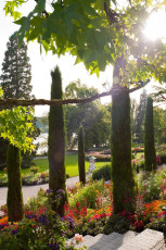 Mainau 0538-2011, Beete an der Italienischen Wassertreppe im Geg